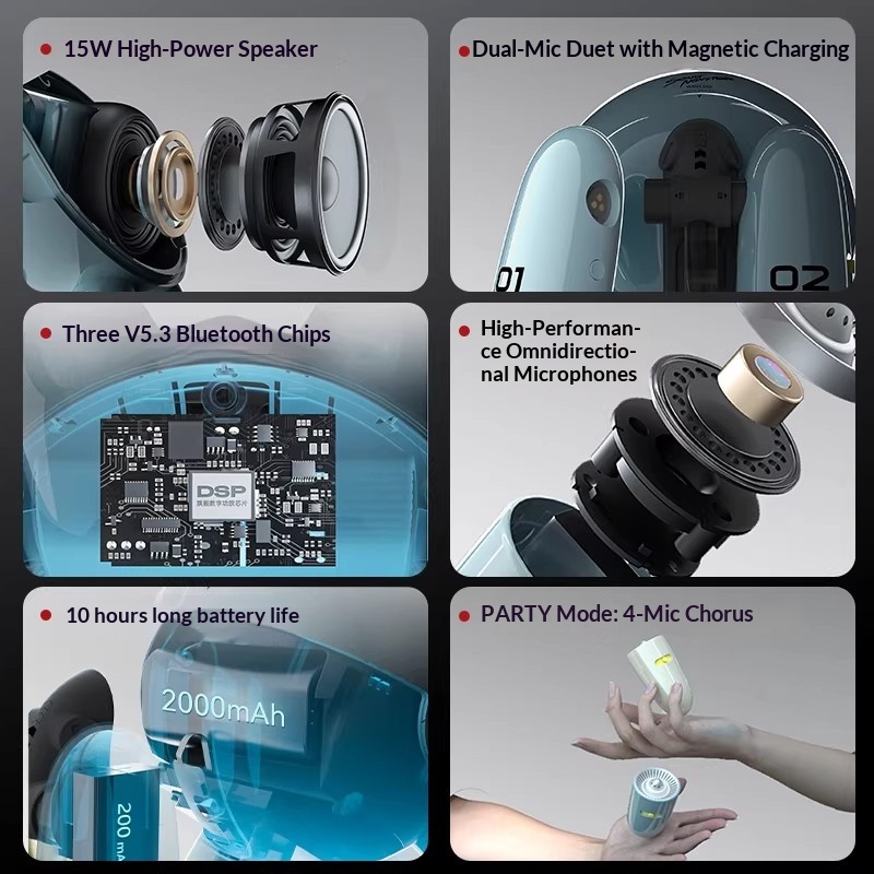 SONGX Audio Dual Microphone Du - огляд і ціна Speakers