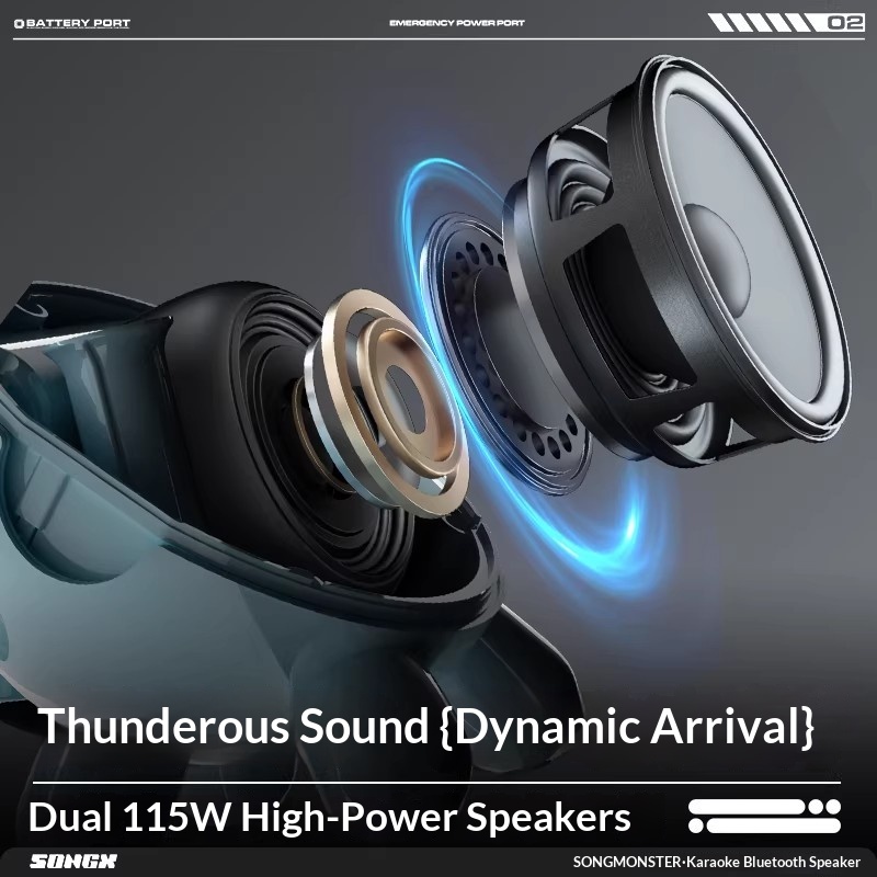 SONGX Audio Dual Microphone Du - огляд і ціна Speakers